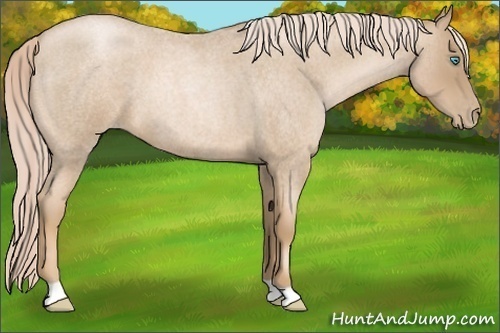 Horse Color:Chocolate Palomino Roan Pearl 