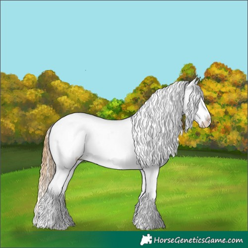Horse Color:Red Dun Mushroom Tobiano Near Leopard  and Red Dun Near Leopard Rabicano 