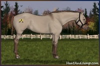 Horse Color:Liver Red Dun 