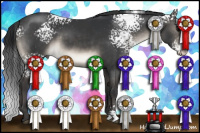 Horse Color:White Spotted Brown Dun 