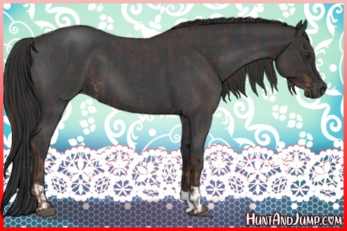 Horse Color:Liver Red Roan  and Blue Roan 