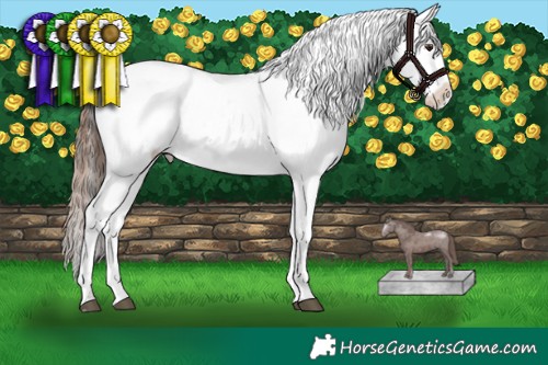Horse Color:Liver Red Dun Near Leopard  and Red Dun Blanket 