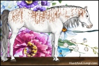 Horse Color:White Spotted Bay Splash  and White Spotted Bay Splash 
