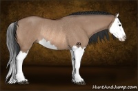 Horse Color:Bay Roan Dun Splash Rabicano 