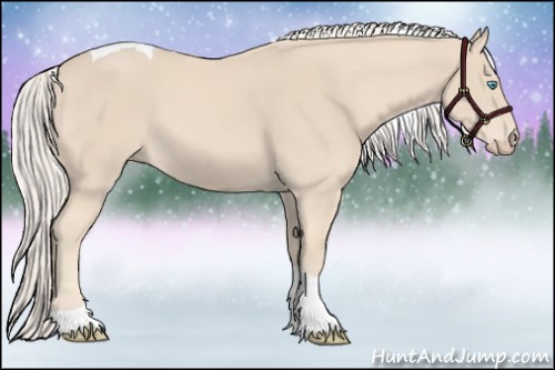 Horse Color:Cremello Tobiano 