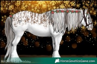 Horse Color:Liver Red Dun Splash  and Liver Red Dun Splash 