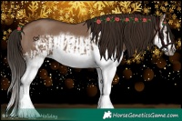 Horse Color:Liver Red Dun Splash  and Liver Red Dun Splash Frame 