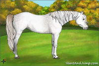 Horse Color:Gray Chocolate Palomino Roan Mushroom Tobiano 