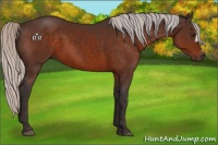 Horse Color:Silver Brown 