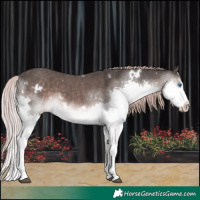 Horse Color:Platinum White Spotted Liver Chestnut Splash 