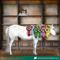 Horse Color:Bay Near Leopard 