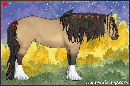 Horse Color:Buckskin Dun