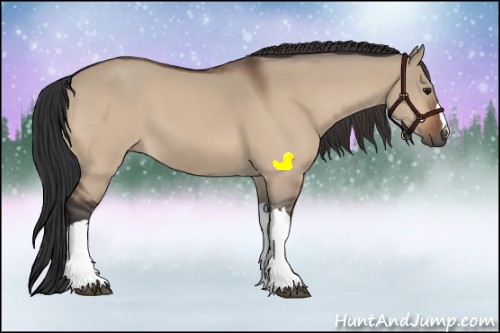 Horse Color:Bay Dun