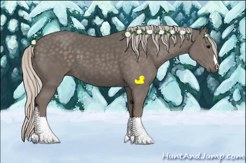 Horse Color:Silver Black 