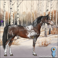 Horse Color:Liver Chestnut Tobiano 