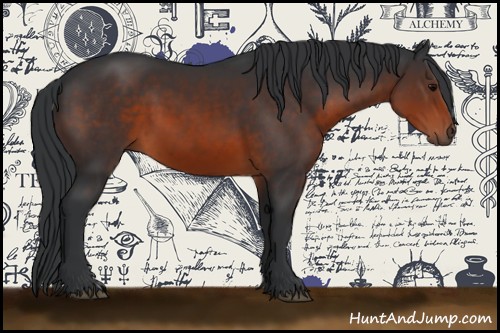 Horse Color:Brown 