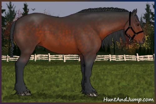 Horse Color:Brown 