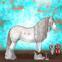 Horse Color:Red Dun Splash  and Red Dun Splash 