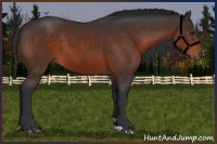 Horse Color:Brown 