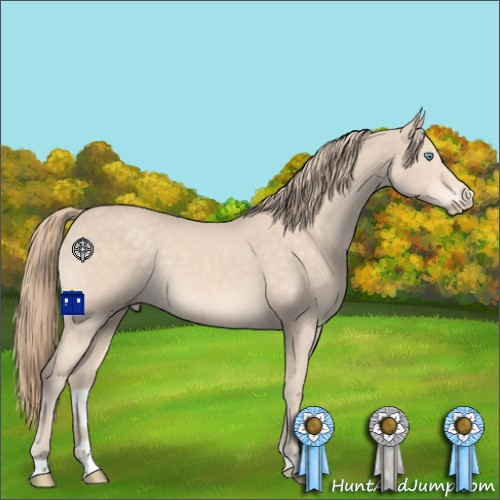 Horse Color:Perlino 