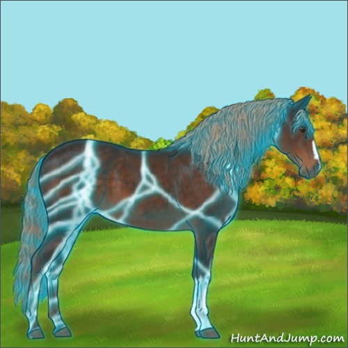 Horse Color:Thunderstruck Liver Chestnut 