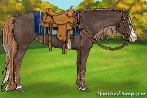 Horse Color:Liver Chestnut Sabino Splash Varnish  and Liver Chestnut Sabino Splash Varnish 