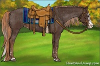 Horse Color:Liver Chestnut Sabino Splash Appaloosa  and Liver Chestnut Sabino Splash Appaloosa 
