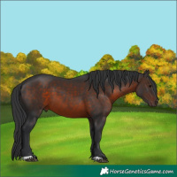 Horse Color:Brown 