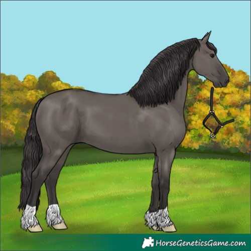 Horse Color:Smoky Grullo