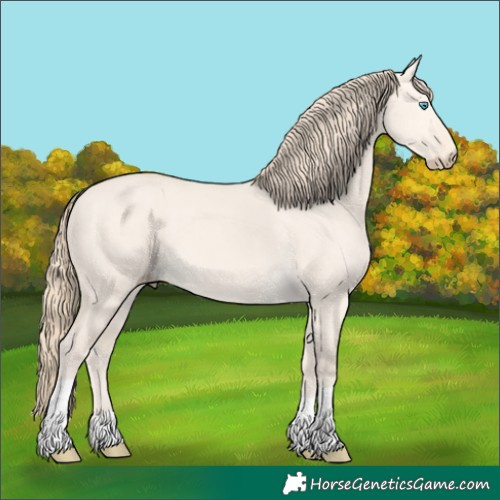 Horse Color:Perlino Dun