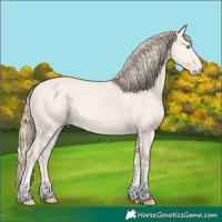 Horse Color:Perlino Dun