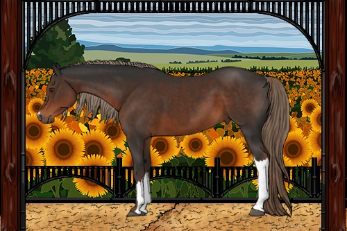 Horse Color:Liver Chestnut 