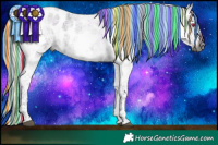 Horse Color:Gray Platinum Painted Liver Red Onyx Chinchilla Ice Roan Pearl Mushroom Splash Tobiano Appaloosa