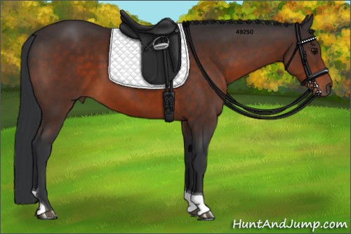 Horse Color:Brown Tobiano 