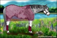 Horse Color:White Spotted Blue Roan Splash Frame Appaloosa 