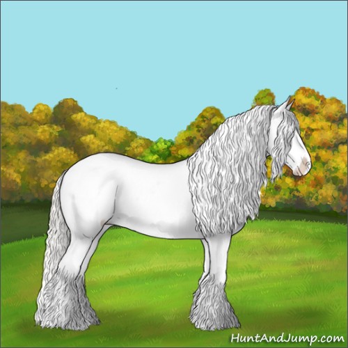 Horse Color:Chestnut Mushroom Tobiano Blanket 