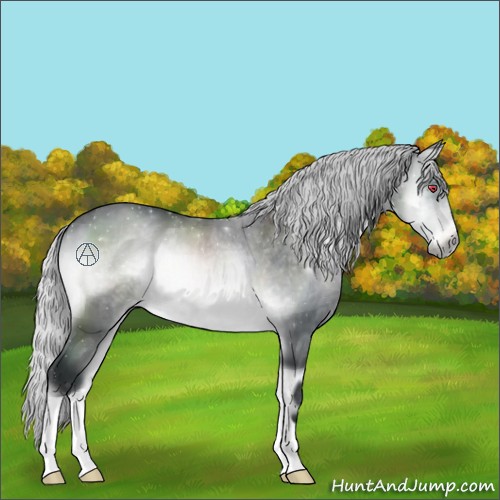 Horse Color:Silver Brown Chinchilla Onyx Mushroom