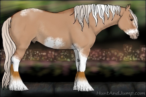 Horse Color:Silver Bay Dun Sabino Tobiano Frame Rabicano 