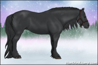 Horse Color:Black 