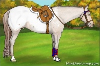 Horse Color:Amber Champagne Roan Near Fewspot 