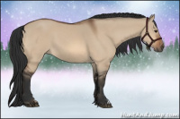 Horse Color:Bay Dun