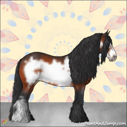 Horse Color:Bay Frame