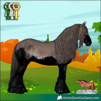 Horse Color:Void Platinum Liver Chestnut Sabino Splash 