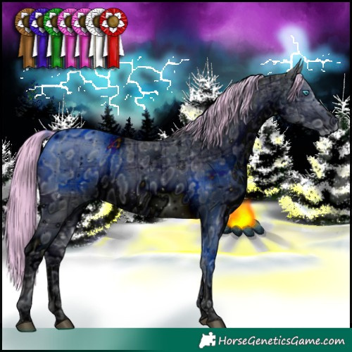 Horse Color:ERROR: UNKNOWN ANOMALY