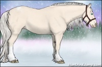 Horse Color:Cremello Tobiano