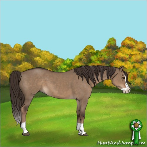 Horse Color:Liver Red Dun Splash Tobiano 
