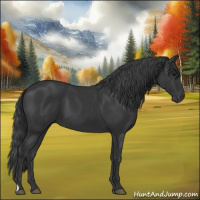 Horse Color:Black 