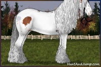 Horse Color:Bay Splash Tobiano 