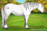 Horse Color:Gray Silver Black Pearl Tobiano 