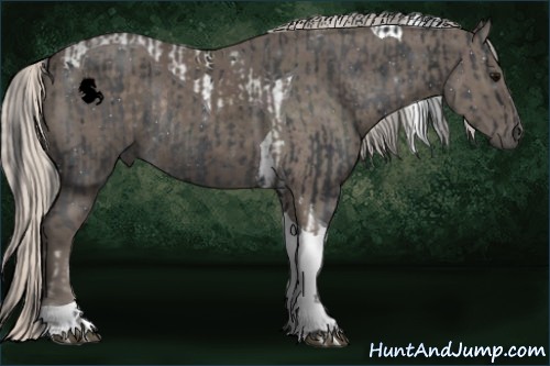 Horse Color:ERROR: UNKNOWN ANOMALY and Silver Black Tobiano Rabicano 